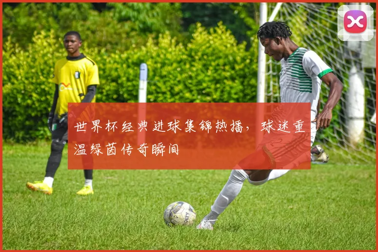 世界杯经典进球集锦热播，球迷重温绿茵传奇瞬间