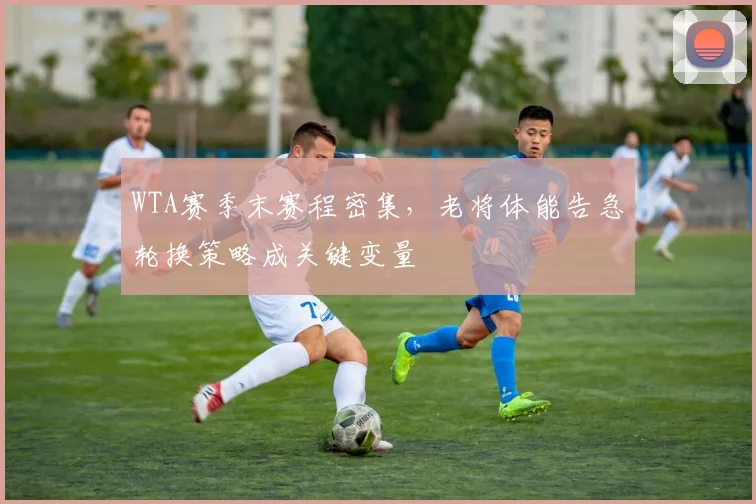 WTA赛季末赛程密集，老将体能告急轮换策略成关键变量
