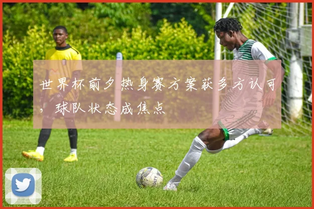 世界杯前夕热身赛方案获多方认可，球队状态成焦点