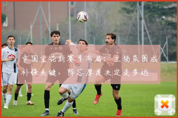 中国金花新赛季布局：主场氛围成补强关键，阵容厚度决定走多远