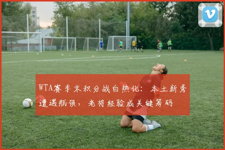 WTA赛季末积分战白热化：本土新秀遭遇瓶颈，老将经验成关键筹码